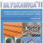 Błyskawica 6/2025 Informacja miesięczna o stawkach robocizny oraz o cenach wybranych robót, materiałów i sprzętu