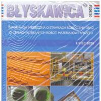 Błyskawica 7/2025  informacja miesięczna o stawkach robocizny oraz o cenach wybranych robót, materiałów i sprzętu.