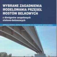 Wybrane zagadnienia modelowania przęseł mostów belkowych